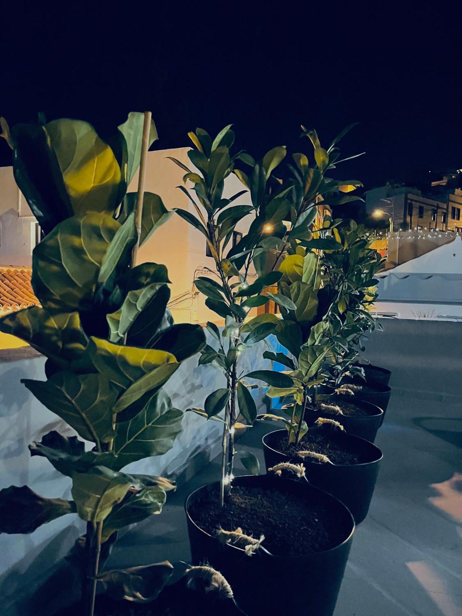 Plaza De La Fuente Granadilla De Abona Tenerife Sur Only Adults Con Terraza Privada מראה חיצוני תמונה